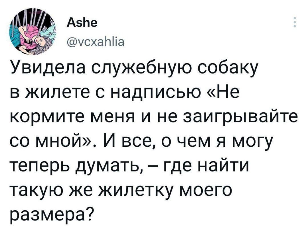 А5Ие усхаНМа Увидела служебную собаку в жилете с надписью Не кормите меня и не заигрывайте со мной И все о чем я могу теперь думать где найти такую же жилетку моего размера