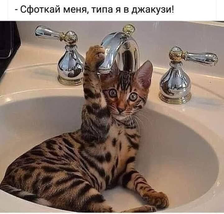Сфоткай меня типа я в джакузи