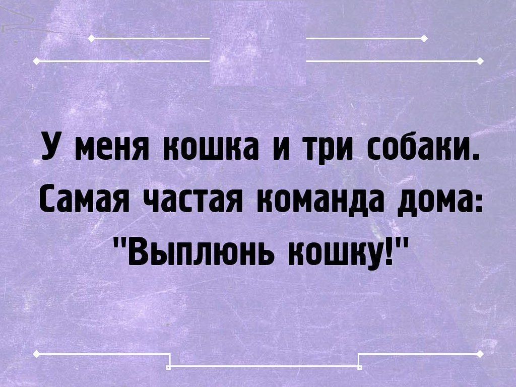 У меня кошка и три собаки Самая частая команда дома Выплюнь кошку