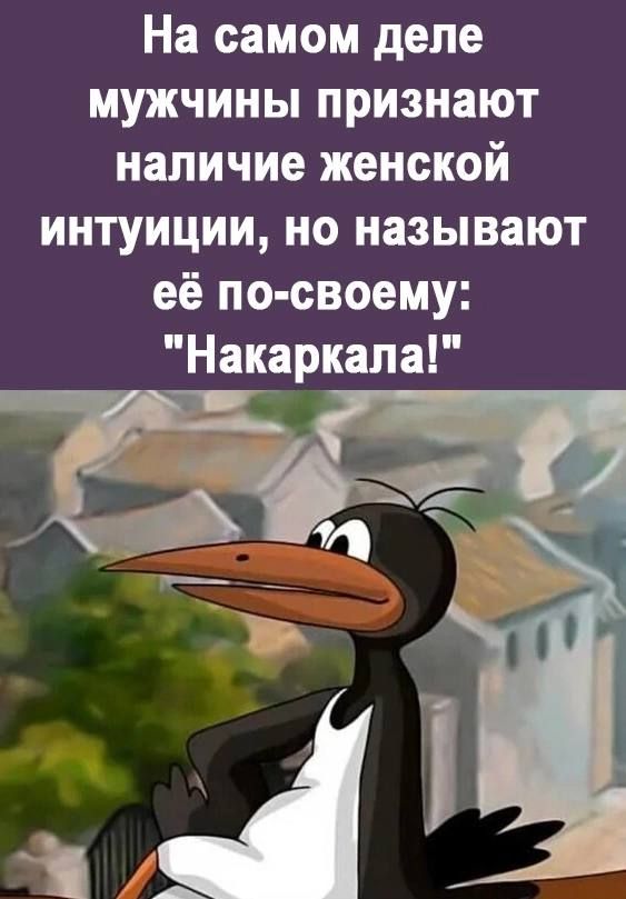 На самом деле МУЖЧИНЫ ПРИЗНЗЮТ наличие женской интуиции но называют её по своему Накаркапа