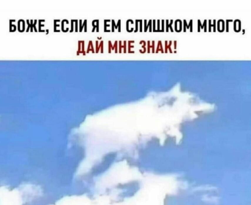 впжв ЕСЛИ я ем слишком много дАЙ мнв зимы