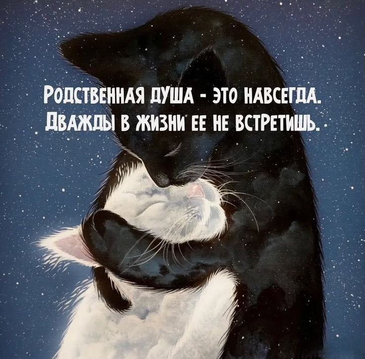 Ропсіввиидя пушд это идвсвгщ в жизни и ив встретишь _