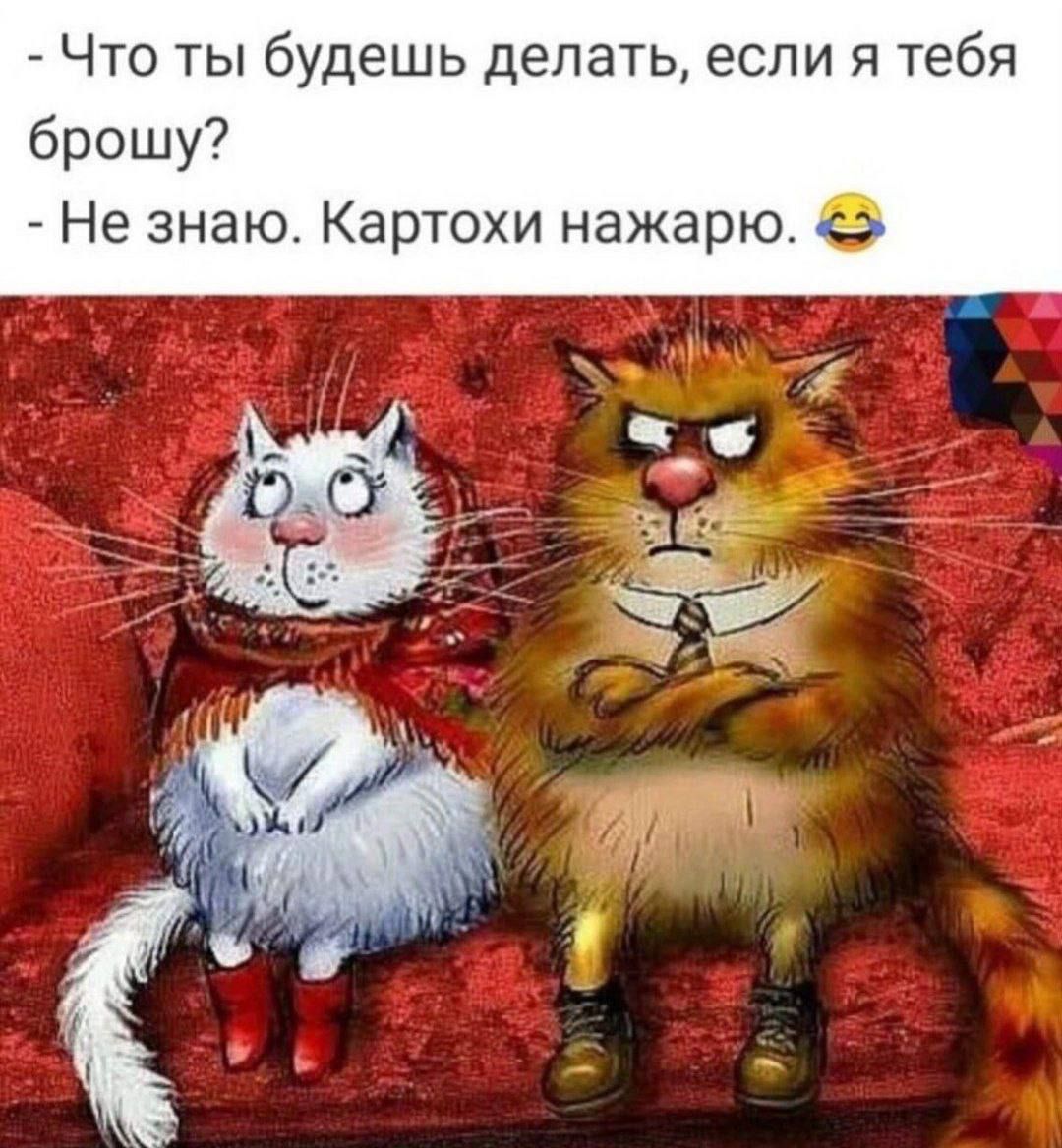 Что ты будешь делать если я тебя брошу Не знаю Картохи нажарю 9