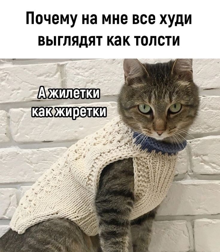 Почему на мне все худи выглядят как толсти