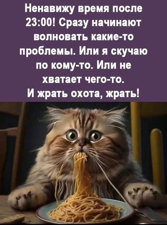 Ненавижу время после 2300 Сразу начинают волновать какие то проблемы Или я скучаю по кому то Или не хватает чего то И жрать охота жрать