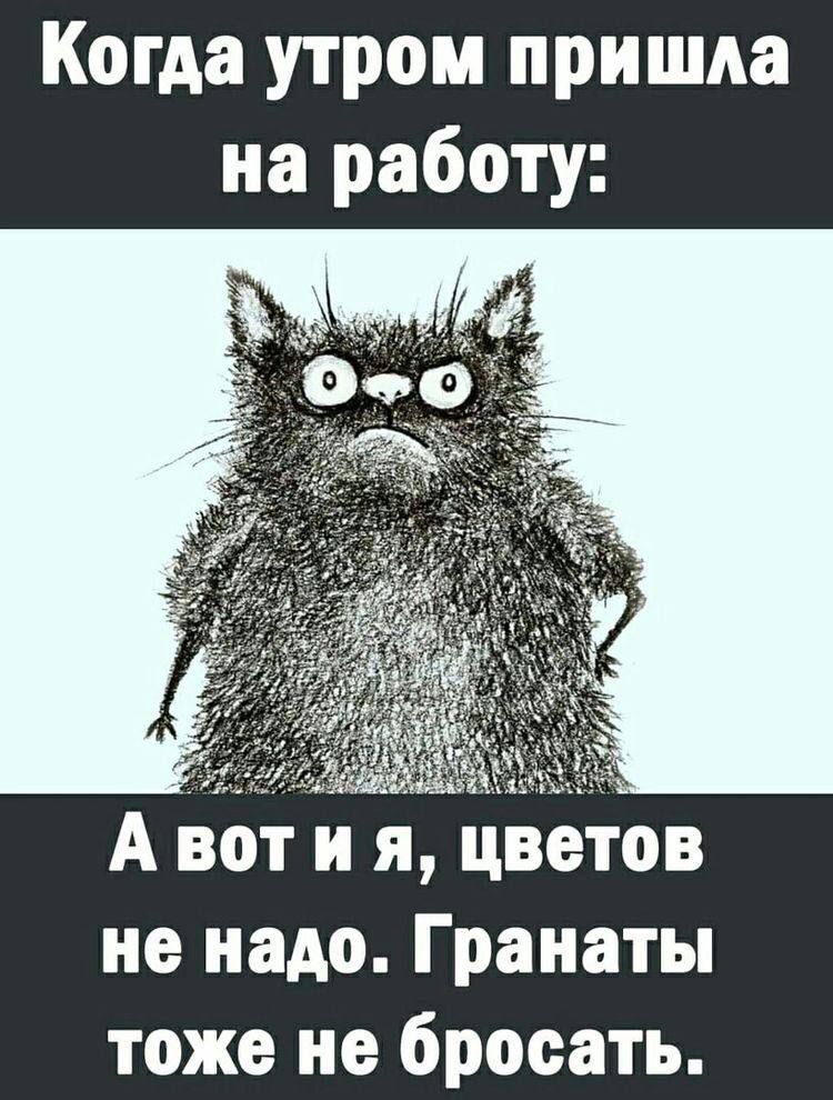 Когда утром пришла на работу А вЪдг и я ЦвЁтов не надо Гранаты тоже не бросать