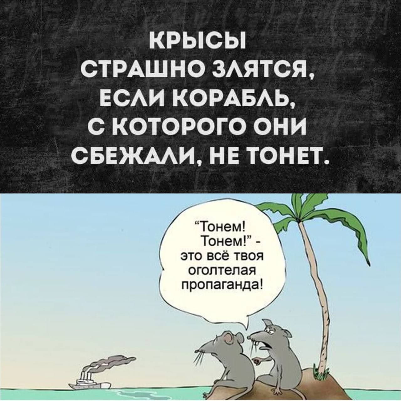 КРЫСЫ СТРАШНО ЗАЯТСЯ ЕСАИ КОРАБАЬ С КОТОРОГО ОНИ СБЕЖААИ НЕ ТОНЕТ Тонет Тонет _ это все твоя оголтепая пропаганда