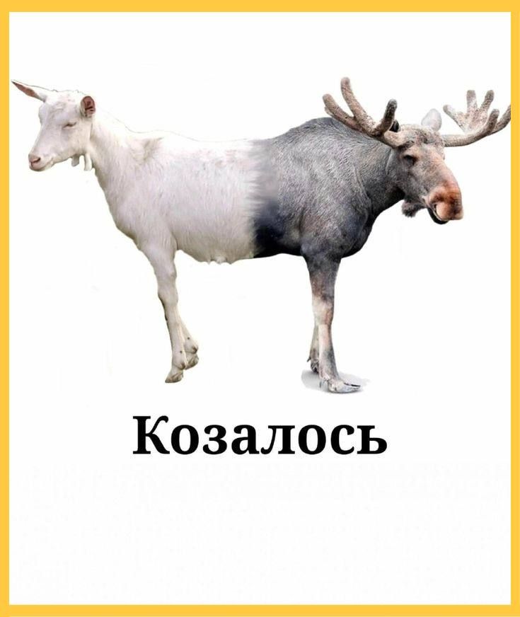 Казалось