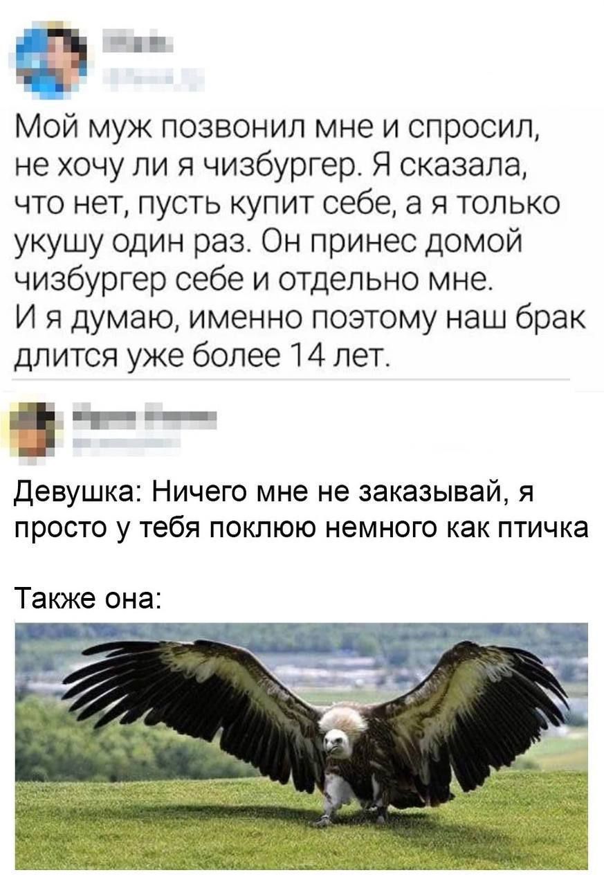 Э Мой муж позвонил мне и спросил не хочу ли я чизбургер Я сказала что нет пусть купит себе а я только укушу один раз Он принес домой чизбургер себе и отдельно мне И я думаю именно поэтому наш брак длится уже более 14 лет Девушка Ничего мне не заказывай я просто у тебя поклюю немного как птичка Также она за