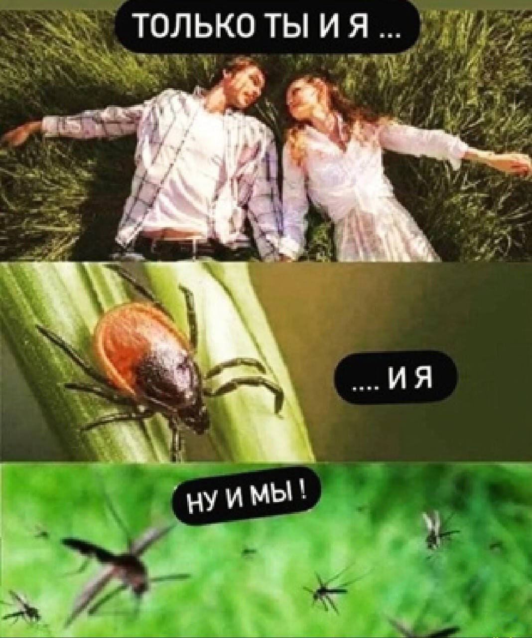 ТОЛЬКО ТЫ И Я