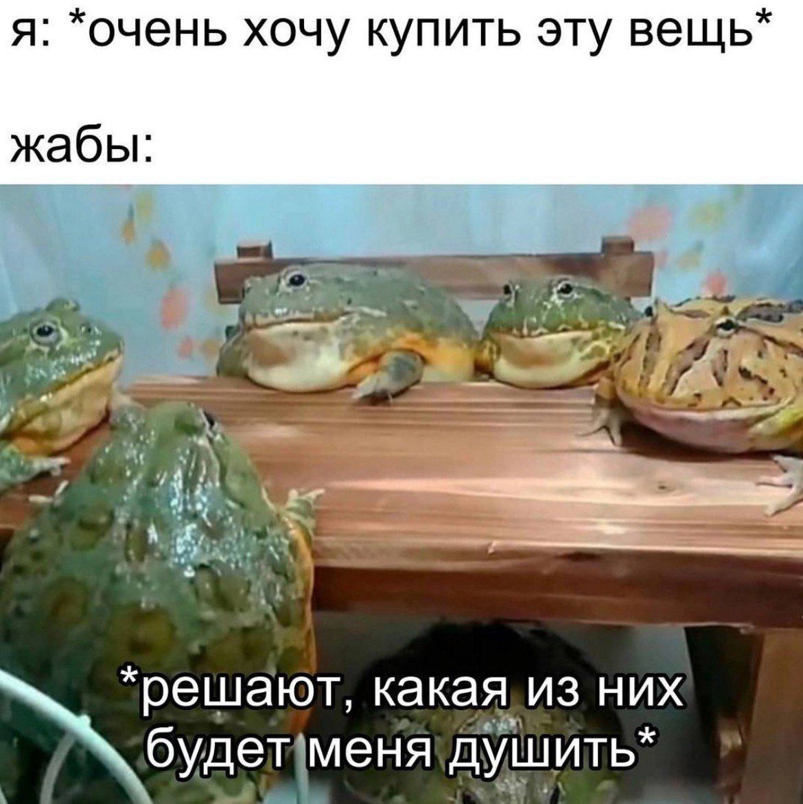 я очень хочу купить эту вещь жабы решают какая из них будетзменя дУшить