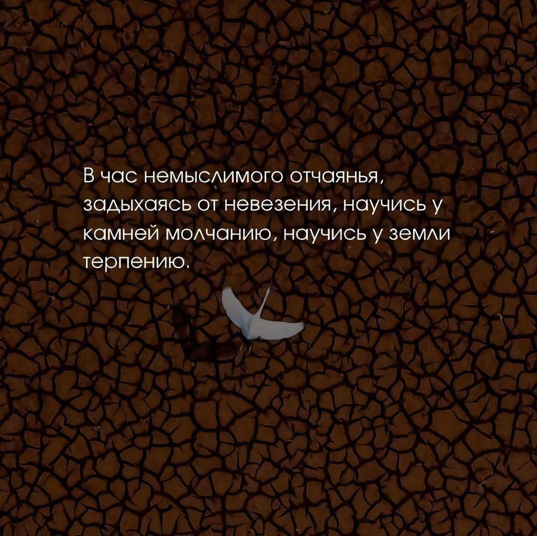 В час немысдимого шчаянья задыхаясь от невезения научись у камней м0Ачонию научись у земди терпению