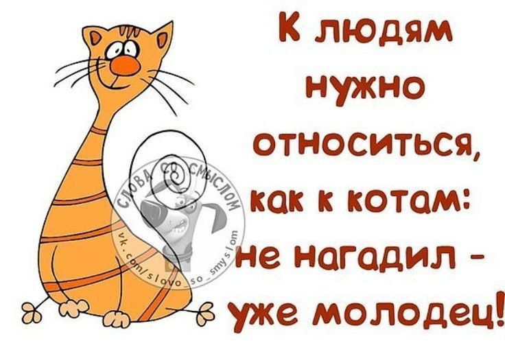 К людям нужно относиться уже молодец