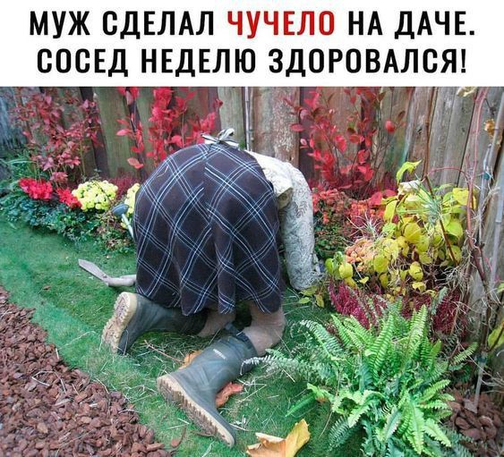 МУЖ СДЕЛАЛ ЧУЧЕЛО НА ДАЧЕ