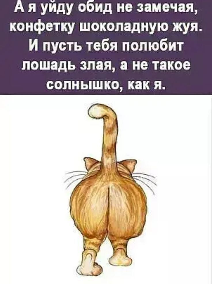 я уиду о ид не замечая конфетку шоколадную жуя И пусть тебя полюбит лошадь злая а не такое СОЛНЫШКО как Я