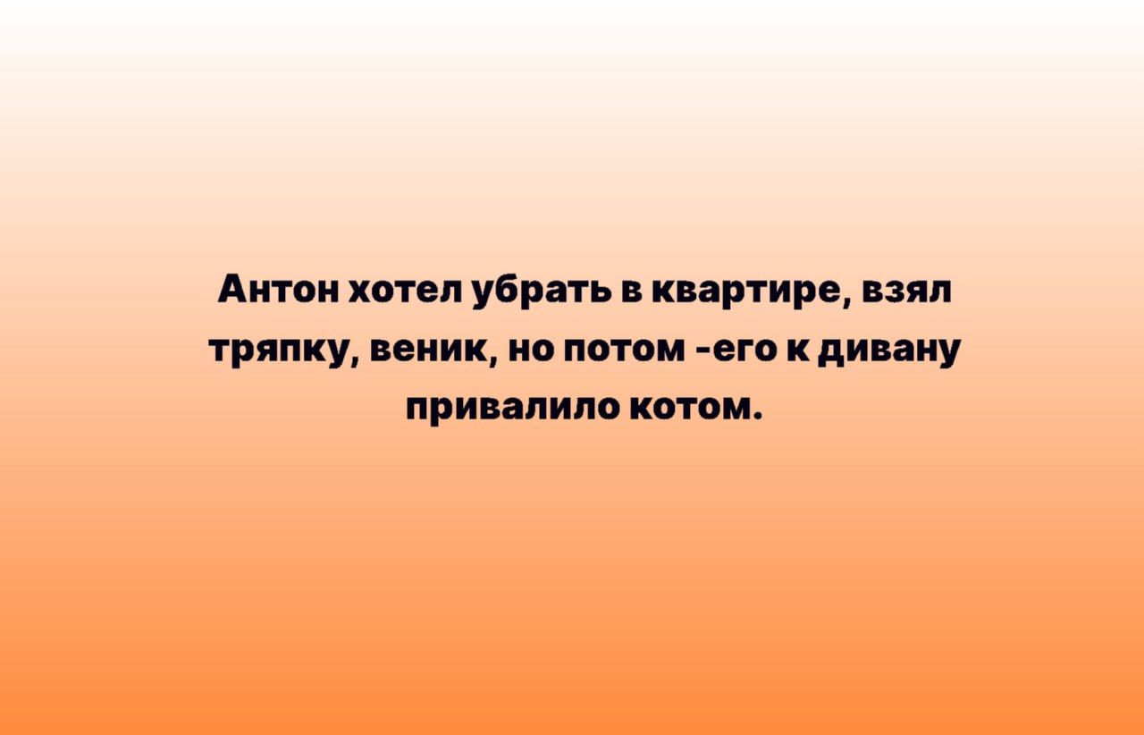 Апит хтп убрать кнртирв пли уряпку веник но потом его к пиццу прицпипо копи