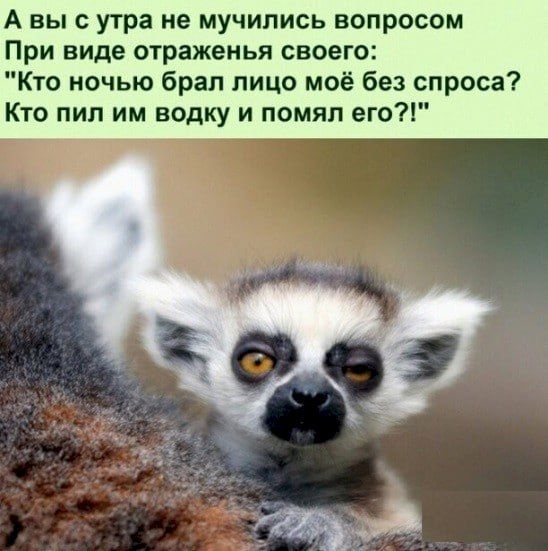 А вы с утра не мучились вопросом При виде отраженья своего Кто ночью брал лицо моё без спроса Кто пип им водку и помял его