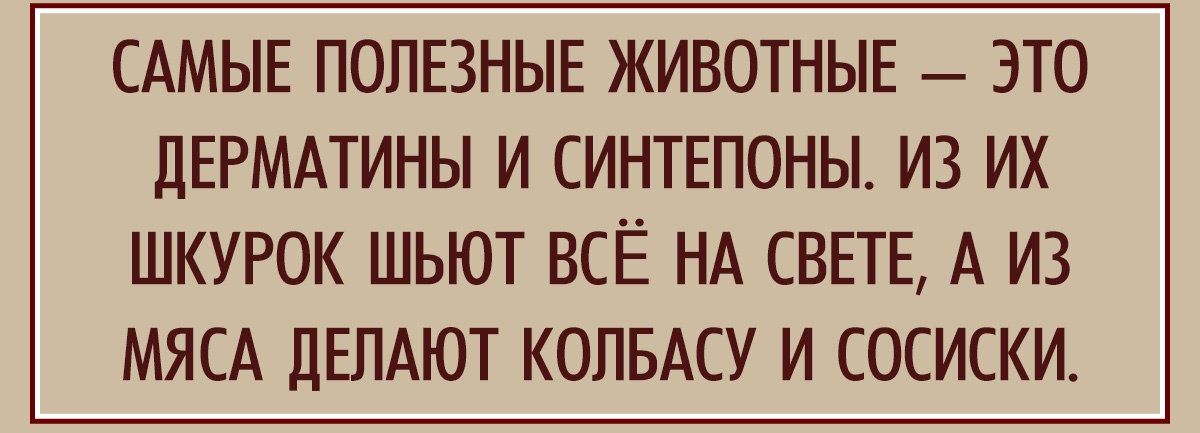 САМЫЕ ПОЛЕЗНЫЕ ЖИВОТНЫЕ ЭТО ЦЕРМАТИНЫ И СИНТЕПОНЫ ИЗ ИХ ШКУРОК ШЬЮТ ВСЁ НА СВЕТЕ А ИЗ МЯСА ДЕЛАЮТ КОПБАСУ И СОСИСКИ