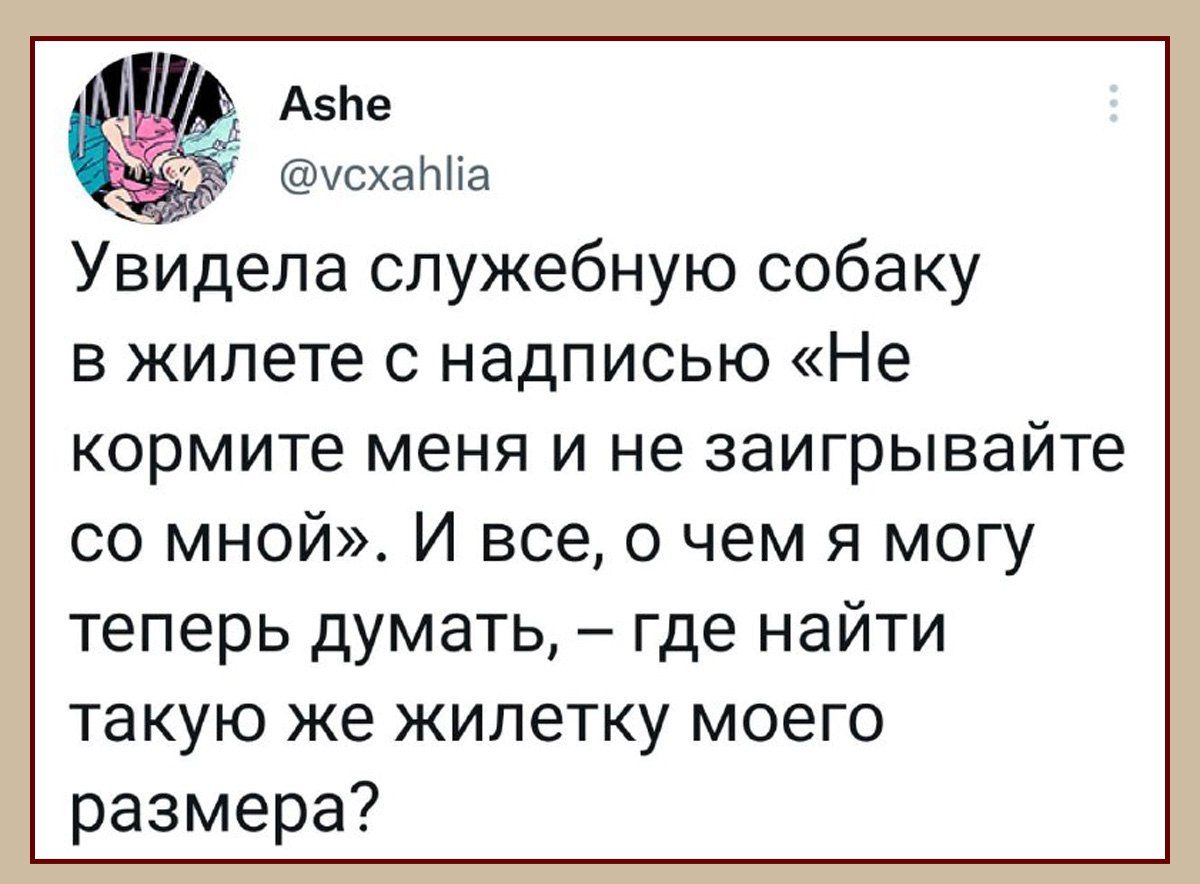 Азпе усха И іа Увидела служебную собаку в жилете надписью Не кормите меня и не заигрывайте со мной И все о чем я могу теперь думать где найти такую же жилетку моего размера