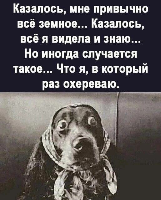 Казалось мне привычно всё земное Казалось всё я видела и знаю Но иногда случается такое Что я в который раз охереваю Й