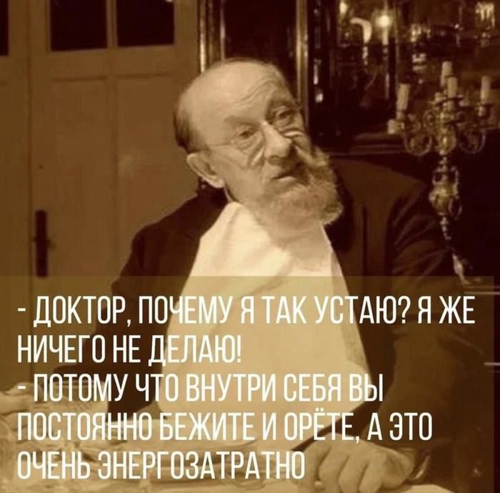 дОКТПР ПО НИЧЕГО НЕ