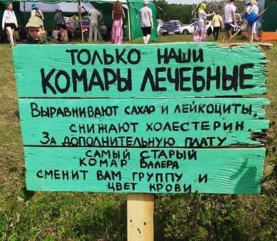 ТОАЬКО ко_мд_ры АЕЧЕБНЫЁЁ Выриьиивяю сша и АЕикоциты СНИМАЮТ ХОАЕСТЕРии ЭА _ ты 31 ЁГАРЫЙ сменит ов гру ЦВЕТ кв И