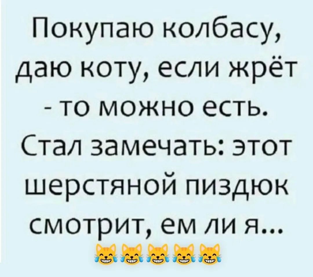 Покупаю колбасу даю коту если жрёт то можно есть Ста1 замечать этот шерстяной пиздюк смотрит ем ли я 8888