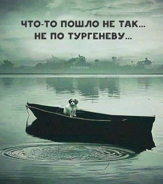 ЧТО ТО ПОШЛО НЕ ТАК НЕ ПО ТУРГЕНЕВУ