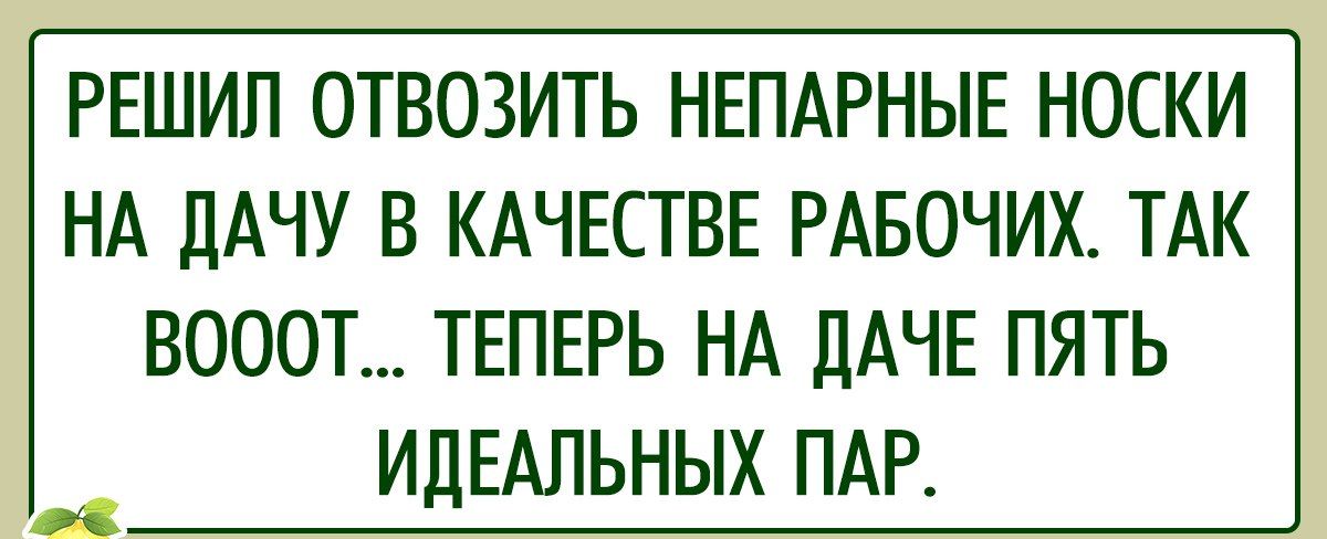 РЕШИЛ ОТВОЗИТЬ НЕПАРНЫЕ НОСКИ НА дАЧУ В КАЧЕСТВЕ РАБОЧИХ ТАК ВОООТ ТЕПЕРЬ НА ДАЧЕ ПЯТЬ ИдЕАПЬНЫХ ПАР