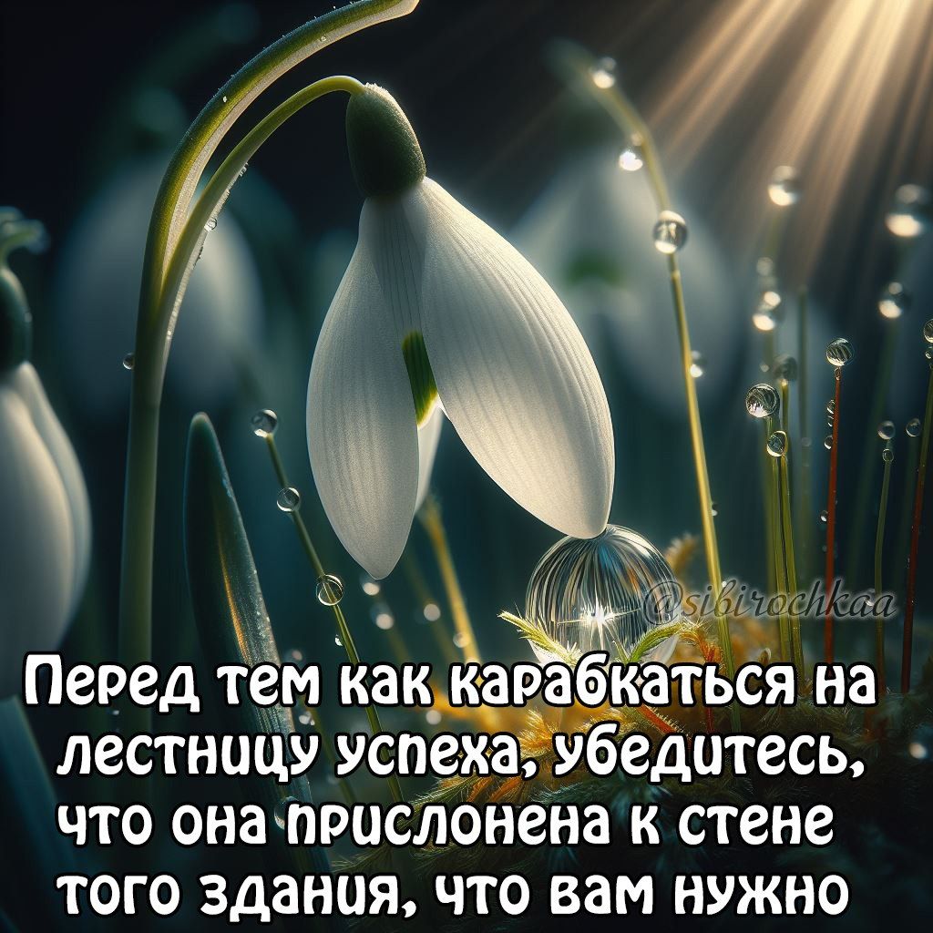 Перед тем КЗК_ КЗРЗОКЗТЬСЯ на ЛССТНЦЦУ успеха Убедитесь ЧТО ОНБПРЦСЛОНВНЗ К стене ТОГО здания ЧТО ВВМ НУЖНО