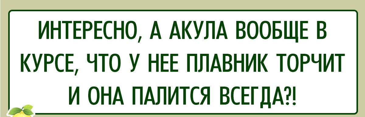 ИНТЕРЕСНО А АКУЛА ВООБЩЕ В КУРСЕ ЧТО У НЕЕ ПЛАВНИК ТОРЧИТ И ОНА ПАПИТСЯ ВСЕГДА