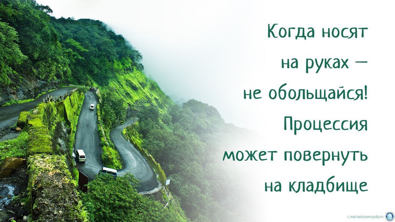 Когда носят на руках 7 не обольщайся Процессия может повернуть на кладбище