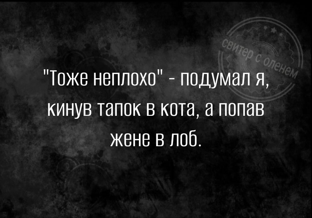 Тоже неплохо подумал я кинув тапок в кота а попав жене в лоб