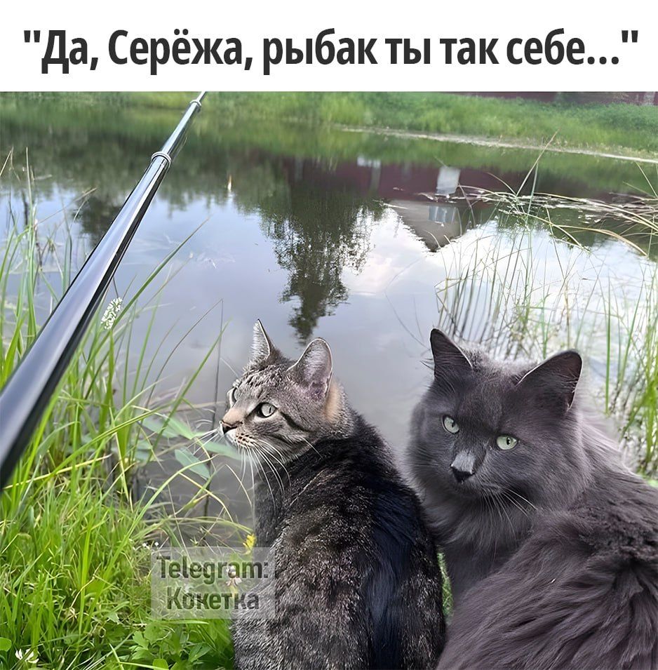 да Серёжа рыбакты так себе