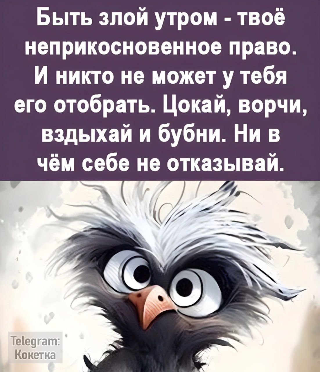 Быть злой утром твоё неприкосновенное право И никто не может у тебя его отобрать Цокай ворчи вздыхай и бубни Ни в