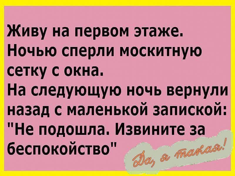 Живу на первом этаже Ночью сперли москитную сетку с окна На следующую ночь вернули назад с маленькой запиской Не подошла Извините за беспокойство пт 11