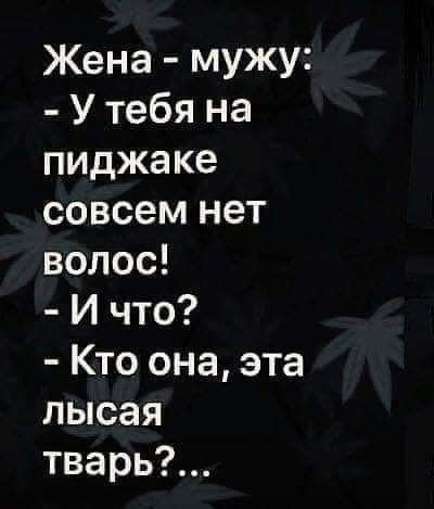 Жена мужу У тебя на пиджаке совсем нет волос И что Кто она эта лысая тварь