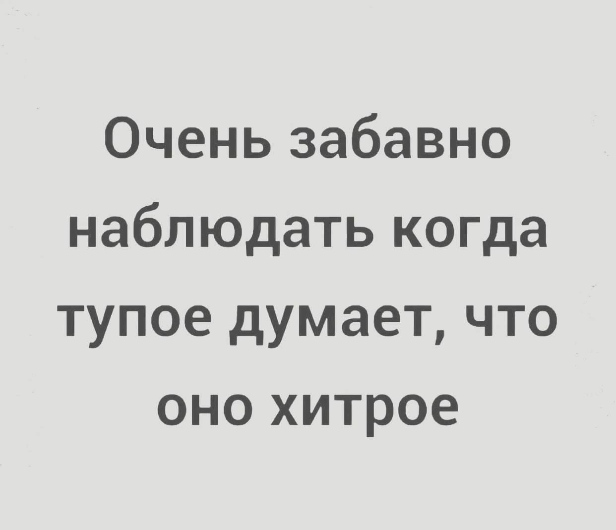 Очень забавно наблюдать когда тупое думает что оно хитрое