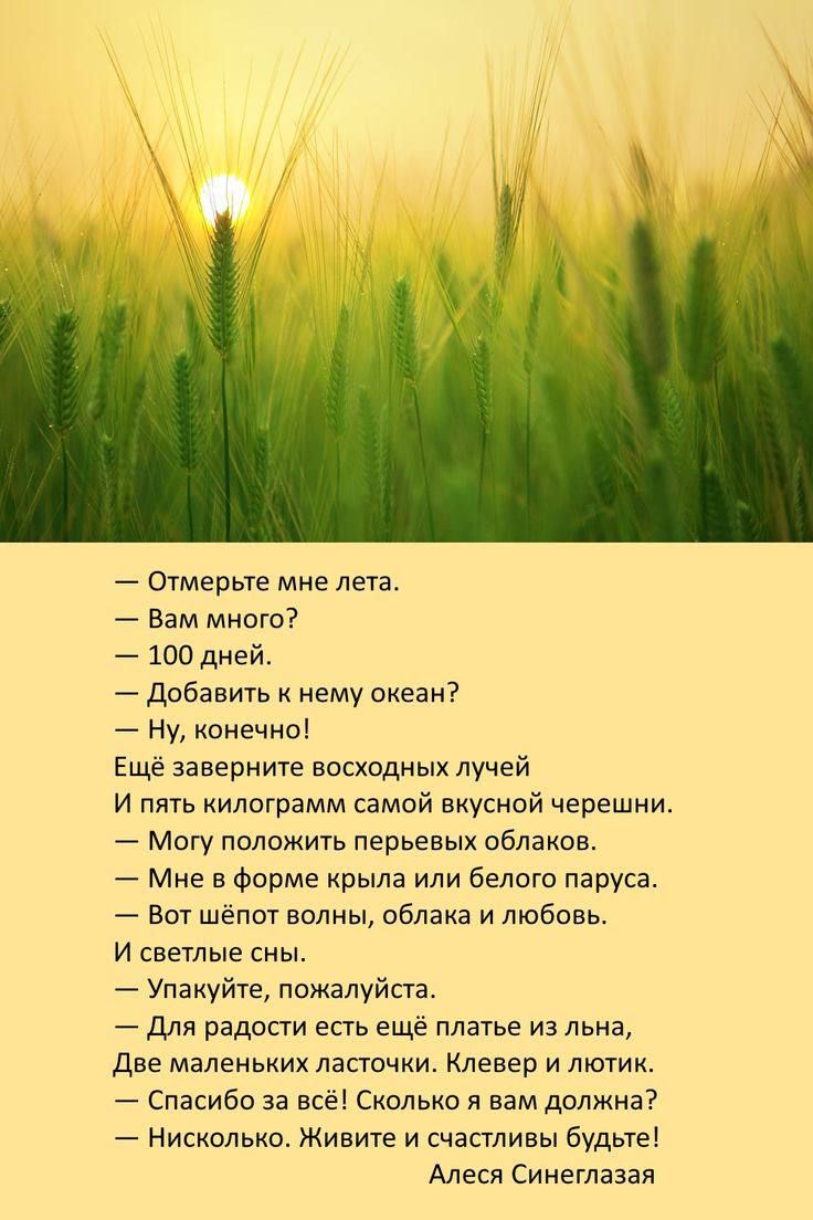 Отмерьте мне лета вам много 100 дней добавить к нему океан Ну конечно Еще заверните выходных лучей и пять килограмм самой вкусной черешни Магу наложить перьевых облаков Мне в форме рыла или белию паруса вот шепот волны облака и любовь и оввтльтв сны Упакуйте пажалуйста для радости есть ещё платье из льна Две маленьких ласточки левер и лютик Спасибо за всё Сколько я вам должна Нисколько Живите и сч