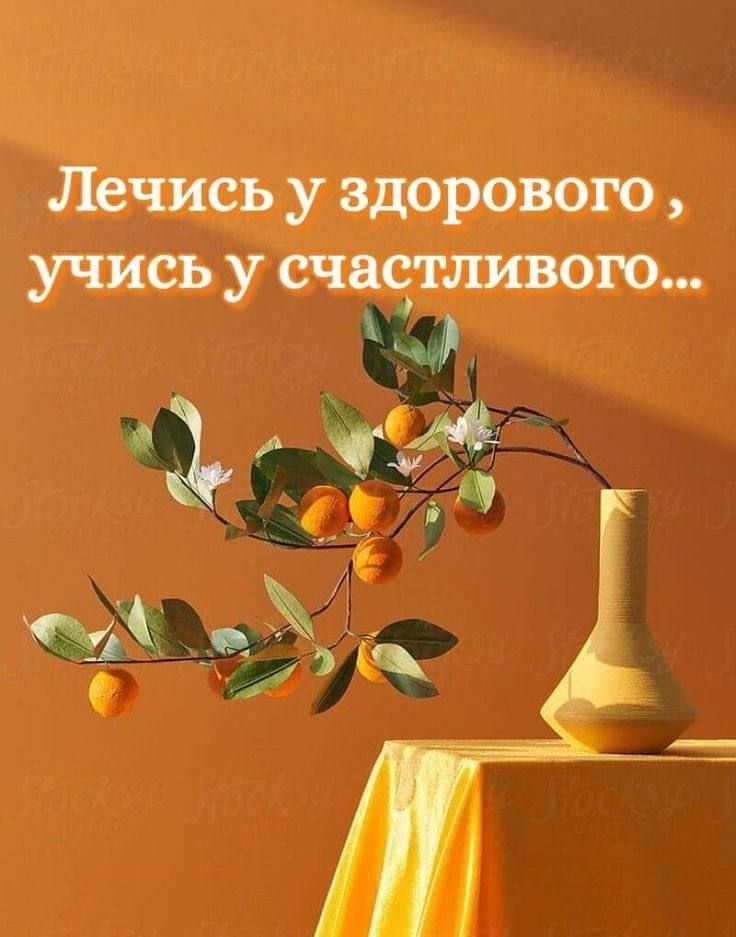Лечись у здорового учись у счаотливою 15