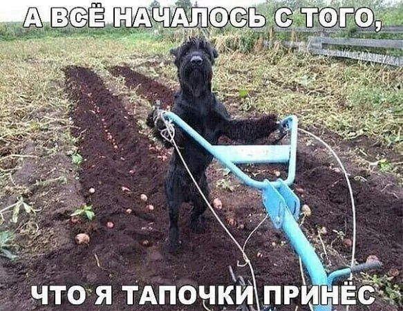 а и чтоЯ ТАПОЧ