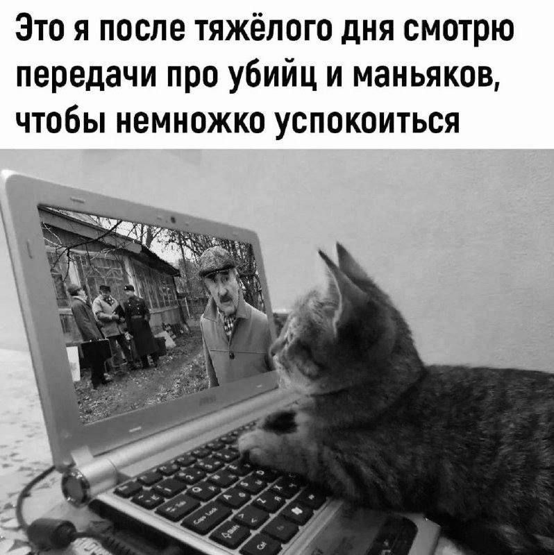 Это я после тяжёлого дня смотрю передачи про убийц и маньяков чтобы немножко успокоиться