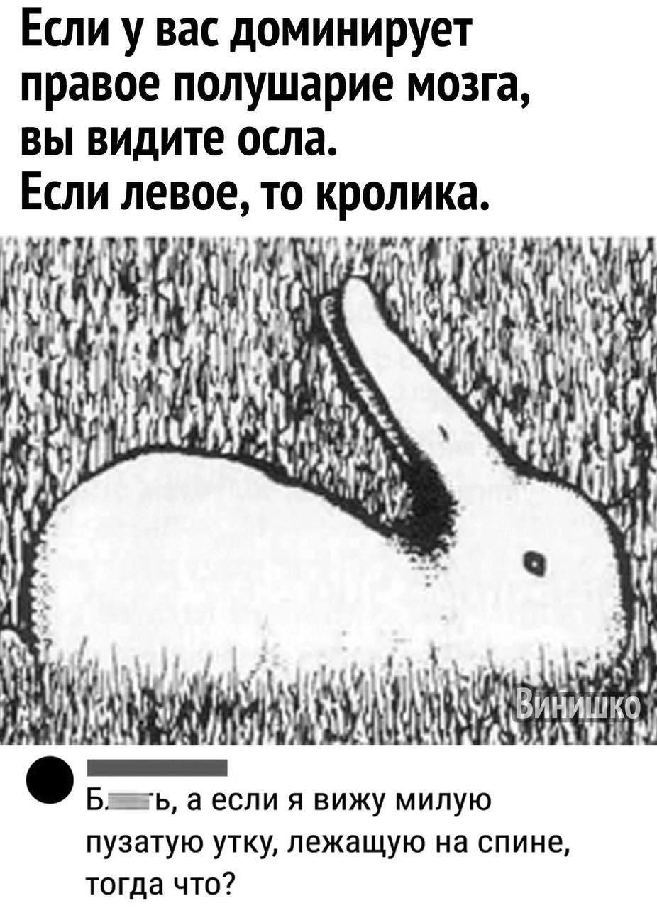 Если у вас доминирует правое полушарие мозга вы видите осла Если левое то кролика Блавь а если я вижу милую пузатую утку лежащую на спине тогда что