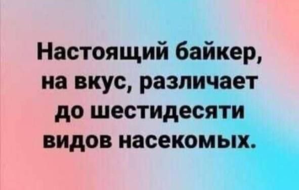 Настоящий байкер на вкус различает до шестидесяти видов насекомых