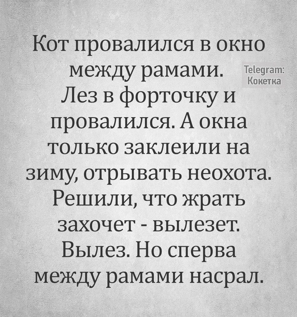 Кот провалился в окно между рамами т Лез в форточку и провалился А окна только заклеили на зиму отрывать неохота Решили что жрать захочет вылезет Вылез Но сперва между рамами насрал