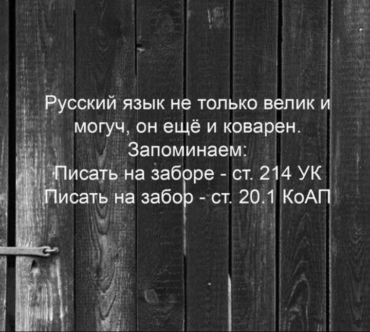 могуч он ещё и коварен Запоминаем исать на Заборе ст 214 УК исать на забоЁ ст 20 1 КоАГП