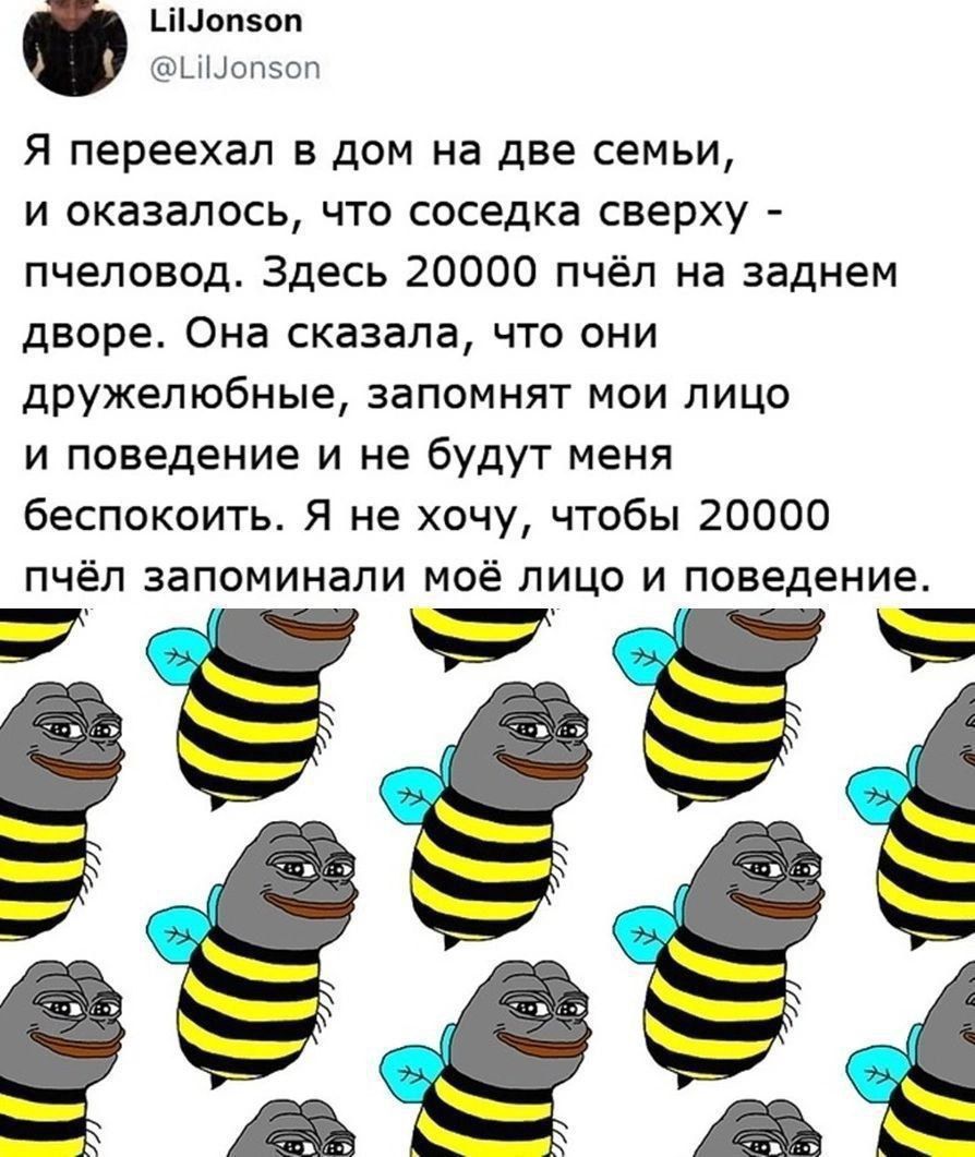 Моп5оп оп5оп Я переехал в дом на две семьи и оказалось что соседка сверху пчеловод Здесь 20000 пчёл на заднем дворе Она сказала что они дружелюбные запомнят мои лицо и поведение и не будут меня беспокоить Я не хочу чтобы 20000 пчёл запоминали моё лицо и поведение 1292