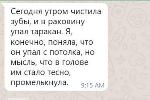 Сегодня утром чистила зубы и в раковину упал таракан Я конечно поняла что он упал с потолка но мысль что в голове им стало тесно промелькнула о15 дМ