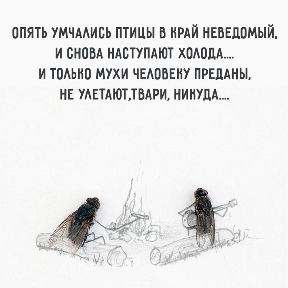 ОПЯТЬ УМЧАЛИСЬ ПТИЦЫ В КРАЙ НЕВЕДОМЫЙ И СНОВА НАСТУПАЮТ ХОЛОДА И ТОЛЬКО МУХИ ЧЕЛОВЕКУ ПРЕДАНЫ НЕ УЛЕТАЮТТВАРИ НИКУДА