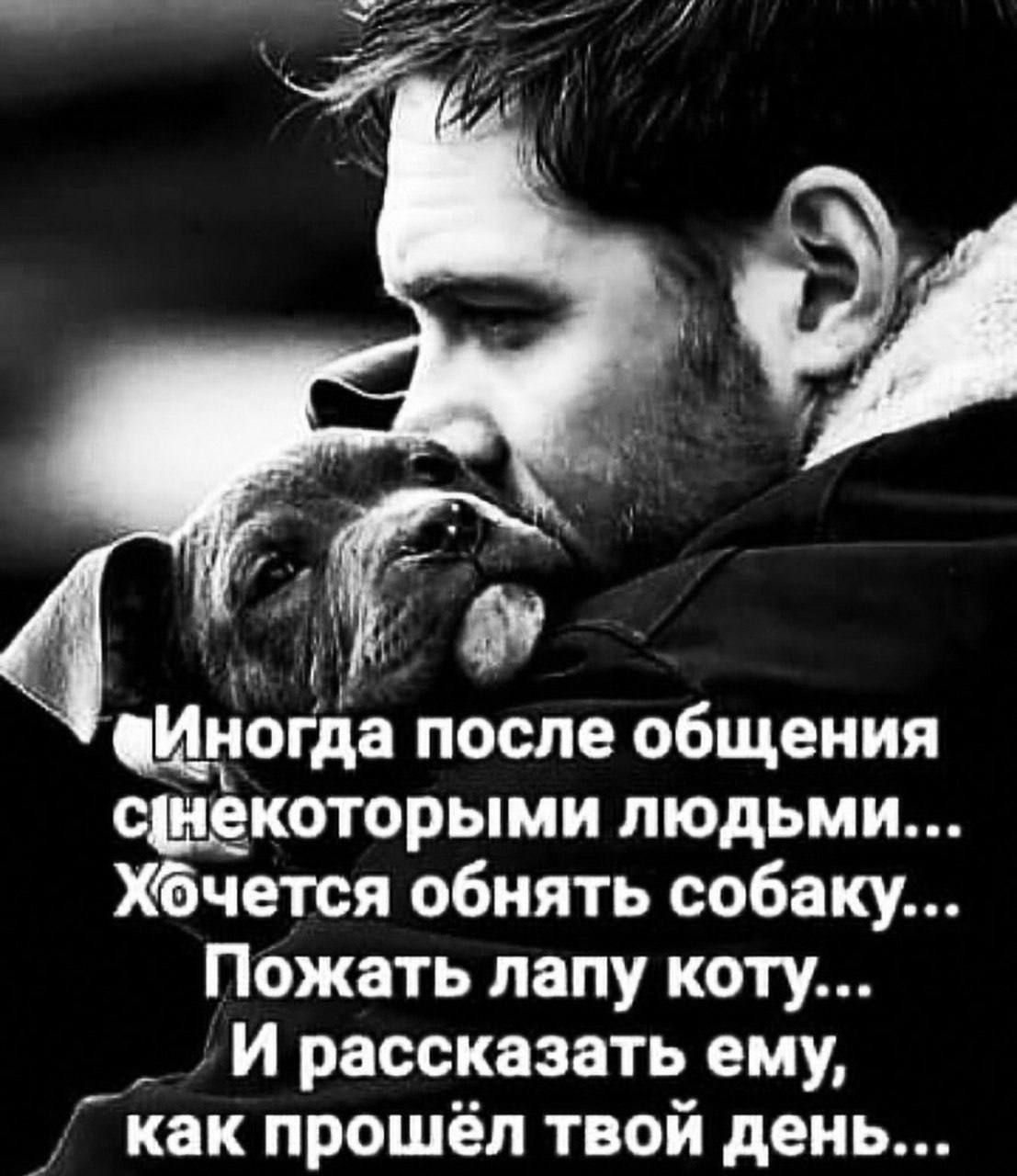 ци_чогда после общения сднекоторыми людьми Хбчется обнять собаку Пожать лапу коту _ И рассказать ему как прошёл твой день
